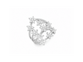 Anello stellaria